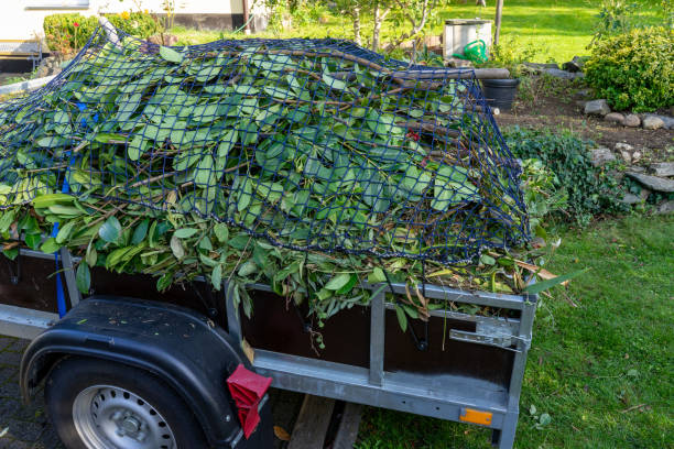 Best Electronics and E-Waste Disposal  in Painesville, OH